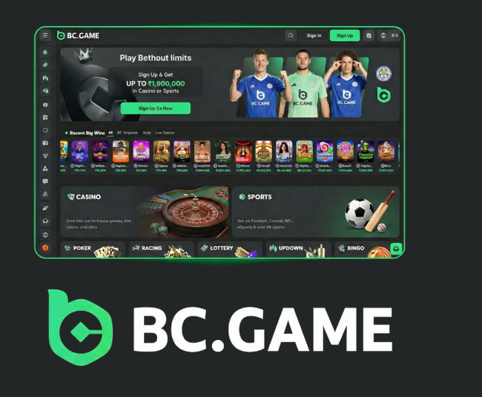 Understanding BC.Game Bonus Types Understanding BC.Game Bonus Types